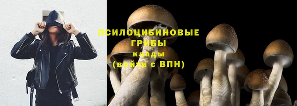 ешки Магас