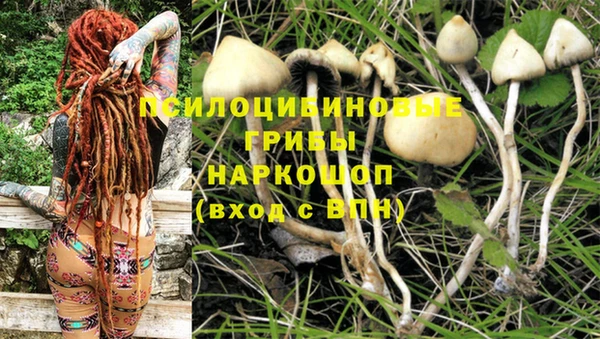 гидропоника Майский