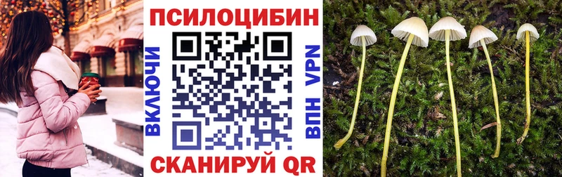 Галлюциногенные грибы Cubensis Городище